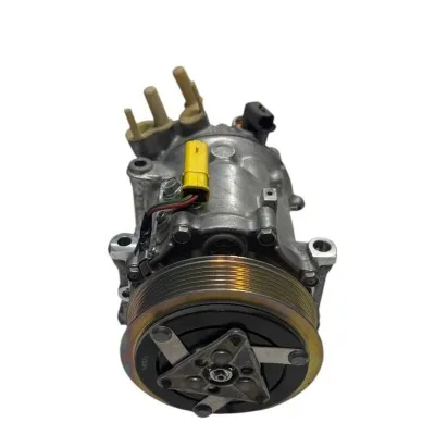 Citroen C5 II ve C5 III Modelleri ile Uyumlu Sanden SD7C16  Klima Kompresörü 
